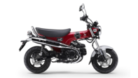 DAX 125 - 2024 Pearl Nebula Red
